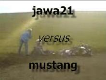 jawa 21 versus mustang